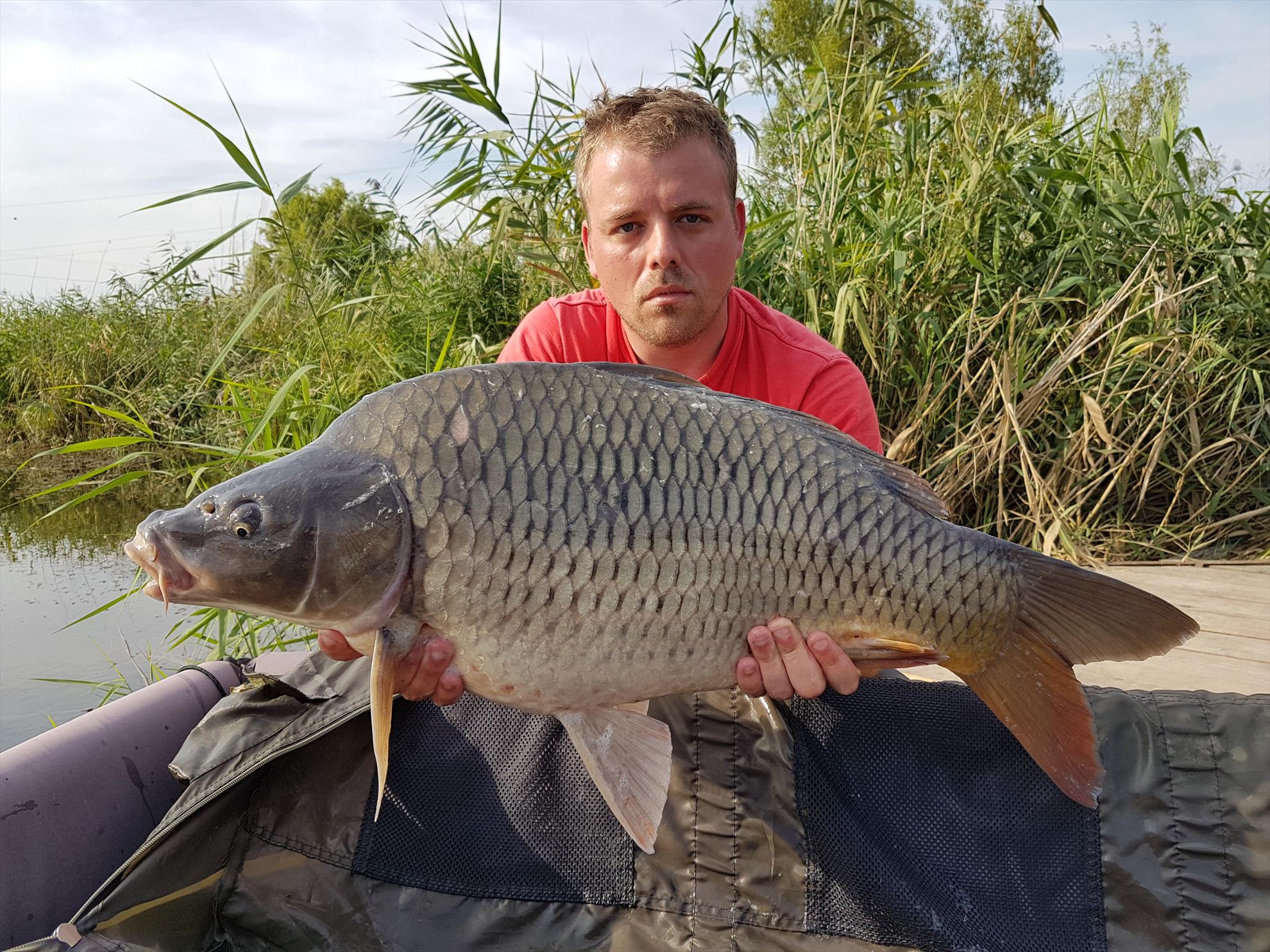 Tancabesti 5 - 8 sep. - 20170908164310.jpg